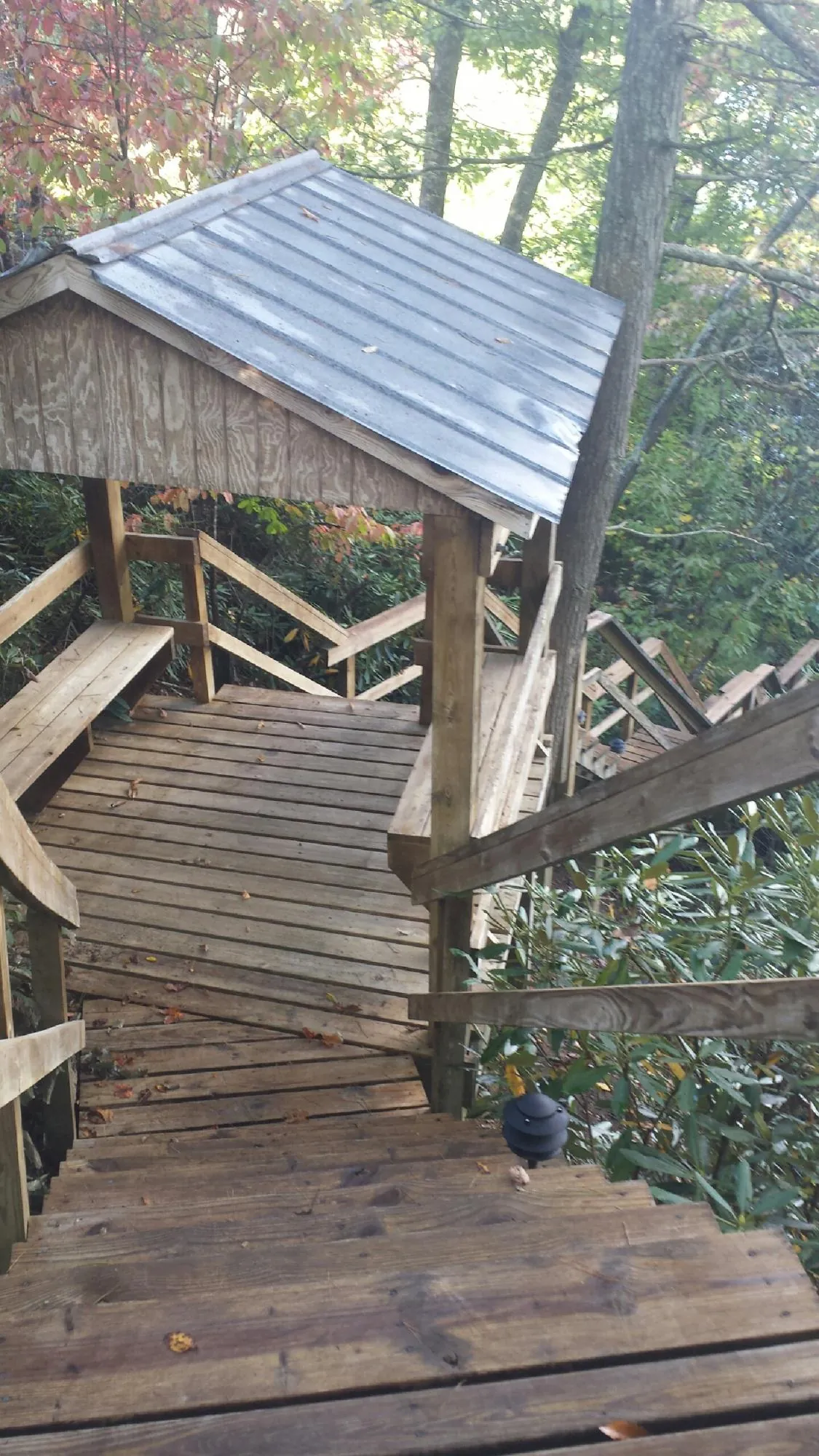 Metal roofed shelter over wooden steps on a wooded walkway — Skylight Repair & Installation work by our crew in Woolford